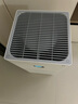 米家小米空气净化器4lite 除甲醛除菌除异味 空气伴侣 除PM2.5 AC-M17-SC 实拍图