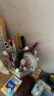 晨光(M&G)文具锦鲤学生礼盒 中性笔/本子/书签/涂卡笔/铅芯/橡皮等 11件套高颜值儿童节礼物HAGP1958 实拍图