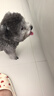 洁柔抽纸 粉Face柔韧3层120抽*20包 可湿水面巾纸 100%原生木浆 整箱 实拍图
