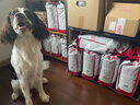皇家皇家狗粮 成犬狗粮 犬粮 宠物 中型犬 M25 全价犬粮 ≥12月 4KG*4 实拍图