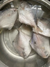 鲳鱼 特大银鲳鱼新鲜冷冻白鲳鱼大小昌鱼海鲜青岛平鱼 【顺丰】7斤银鲳鱼 每斤6-8条 实拍图