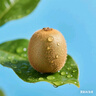 佳沛（zespri）新西兰 新果季 阳光金奇异果33粒原箱单果重约101-114g 猕猴桃 实拍图