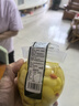 云山半枸杞泡姜芽500g 山东泡嫩姜仔姜芽生姜腌菜下饭菜泡菜 实拍图