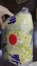 云南高原娃娃菜新鲜蔬菜生鲜乾隆白菜早餐火锅必备产地直发 浅黄色 新鲜娃娃菜3颗装*2包 实拍图