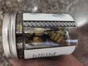 山臻正宗精选石斛250g新鲜干条枫斗干货铁皮鲜条花茶礼盒中秋节教师节 【体验装】50克 实拍图