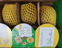 佳沛（zespri）新西兰 阳光金奇异果12粒礼盒特大果单果约122-146g 猕猴桃 水果 实拍图