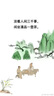 爱酷熊（AIKUUBEAR）干爽畅吸半包拉拉裤XXXL84加大码尿不湿超薄瞬吸（16-18kg） 实拍图