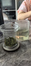 泥也茶杯玻璃泡绿茶杯茶水分离耐热加厚带过滤男士办公个人专用高端 实拍图