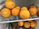囍成双美国新奇士橙黑标3107脐橙大果sunkist进口橙子美橙水果整箱送礼 精品5斤【礼盒装】 实拍图