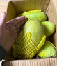 萧鲜生精选青皮金煌大芒果（拍2件合并一箱发货）当季新鲜水果放软食用 精品金煌芒 4-4.5斤（青皮特大果） 实拍图