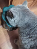 皇家成猫 室内长毛猫 ILH35 通用粮 1-7岁 4.5KG 实拍图