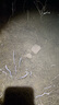 画中仙活鱼桶多功能装鱼桶折叠钓鱼桶钓鱼箱野钓加厚便携水桶鱼箱渔具 【天窗款】复合材质45cm+增氧泵 实拍图
