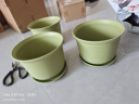 芷郁花盆家用控根透气树脂花盆大号加厚加仑盆月季绣球塑料 215型 实拍图