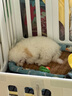 东方森草宠物狗狗沐浴露猫咪浴液除臭留香幼犬泰迪比熊金毛 桔梗400ml(推荐白毛宠物) 实拍图