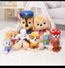 汪汪队立大功（PAW PATROL）毛绒玩偶男孩女孩生日礼物玩具经典款天天公仔小号15.2CM 实拍图
