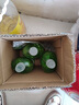 立白茶籽洗洁精1kg*4瓶99%除菌高效去油除味宝宝餐具果蔬适用食品可用 实拍图