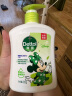 滴露（Dettol）洗手液茉莉绿茶清香500g*2 迪士尼儿童洗手液补充装家庭抑菌消毒  实拍图