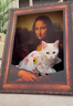阿莫尔猫咪衣服夏季薄款网纱飞袖裙可牵引金渐层布偶幼猫宠物狗狗防掉毛 蘑菇飞袖裙 L(建议8-10斤具体参考胸围背长) 实拍图