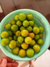 京逸现货现摘李子新鲜三月李应季青李子酸脆珍珠李三华李孕妇水果整箱 3斤|中果【单果约新1元硬币大】 现摘现发+辣椒盐 实拍图