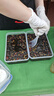[东阿阿胶] 阿胶 250g/盒 熬胶服务 补血滋阴 润燥 止血 用于血虚萎黄 眩晕心悸 心烦不眠 肺燥咳嗽  实拍图