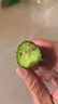 有机汇 有机水果黄瓜 生吃即食小黄瓜 轻食健康沙拉当季新鲜采摘小青瓜 500g 实拍图