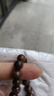 正品黄花梨手串海南老料男梨花木手串女真品紫油梨木质手链 8mm女款-黄花梨单圈手串 实拍图