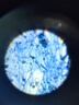 宝视德（bresser）显微镜初中生中考专用学生专业儿童实验生物移动卡尺儿童节礼物 实拍图