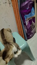 伟嘉成猫猫粮 夹心粮10kg牛肉味全价猫粮 亮毛均衡营养布偶蓝猫猫粮 实拍图