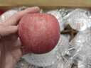 京鲜生 山东栖霞红富士苹果精品12粒 单果190g-240g  生鲜水果 礼盒 实拍图