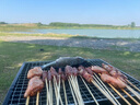 游牧御品 烧烤食材分享装4-6人份220串净肉4斤 羊肉串牛肚鱿鱼鸡翅烧烤串 实拍图