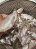 三去马面鱼耗儿鱼剥皮鱼去头去皮去内脏火锅食材海鲜水产 2盒【共800g】小马面鱼 实拍图