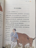 走近课本里的中外名人故事（全5册） 衔接中小学课本148位名人传记7-10岁小学生课外阅读书籍11-14岁儿童励志读物中学生名人故事 实拍图