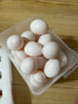 保卫蛋蛋新鲜鸽子蛋农家孕妇宝宝杂粮喂养送礼礼盒年货节礼盒送礼 店长推荐丨鸽子蛋30枚（550g） 实拍图
