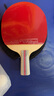 红双喜乒乓球拍四星狂飚专业级4星学生儿童初学者3星直横拍兵乓球拍单拍 H3星级短柄直拍单只+6只球+拍套 实拍图