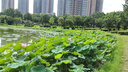 艾美特（AIRMATE）【强劲海洋风】七叶大风量遥控落地扇电风扇家用节能台式摇头空气循环小风扇AI智能感温电扇 R75 实拍图
