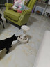 华元宠具（hoopet）猫爬架小型猫抓柱剑麻磨爪猫抓板转盘玩具球猫咪玩具幼猫跳台猫爬 【五合一】圆形转盘逗猫爬架 实拍图