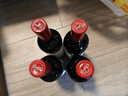 奔富（PENFOLDS）bin系列  澳洲干红酒葡萄酒 西拉赤霞珠 750ml 原瓶进口 聚餐送礼 奔富bin150干红葡萄酒 750ml 实拍图