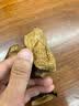南京同仁堂新会陈皮15年陈皮理气健脾燥湿化痰咳止泡水广东特产橙子皮 10年新会老陈皮 250g*1袋 实拍图
