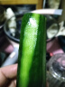 【超市品质】山东新鲜水果黄瓜嫩青瓜生吃蘸酱生鲜蔬菜减肥搭配 山东水果黄瓜 4斤 带箱 实拍图