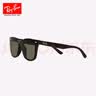 雷朋（RayBan）方形太阳镜眼镜户外防晒偏光墨镜0RB4391D 实拍图