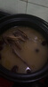 硒全食美富硒老鸽 净重400g/只 冷冻 供港鸽子生鲜冷链 煲汤优选卤煮食材 实拍图
