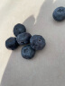 怡颗莓Driscoll's当季云南蓝莓Jumbo超大果18mm+ 4盒装125g/盒生鲜水果 实拍图