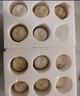 百世富泽（BAISHIFUZE）【百世富泽】黄河滩大鹅蛋新鲜正宗土鹅蛋农家自养孕妇超大鹅蛋 12枚115-130克 实拍图