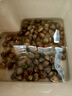 鲜活蛤蜊海捕无沙新鲜花甲贝类生鲜花蛤超大美贝蚬子海鲜水产顺丰 鲜活共5斤（3斤送2斤） 实拍图