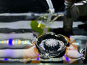 AMTRA德国安彩EX450配件滤材过滤棉除油膜器转子 原装除油膜器 实拍图