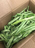 农家四季豆新鲜现摘云南长扁豆角农家应当季蔬菜芸豆现摘菜豆 新鲜四季豆3斤带箱 实拍图