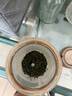 特尊2025新茶明前恩施玉露湖北茗茶富硒茶蒸青茶叶高山嫩芽绿茶250g 实拍图