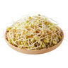 【有机】黄豆芽200g 实拍图