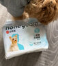 HONEYCARE好命家 狗狗纸尿裤公狗尿不湿安全裤XS适用体重2-5kg/12片12包装  实拍图