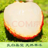京觅广东增城仙进奉荔枝 净重4.5~5斤装 单果18g+新鲜水果 源头直发 实拍图